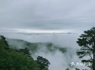 周末一日游九华山 从合肥出发开车大概两个半小时到池州