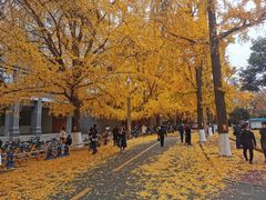 -四川大学(华西校区)