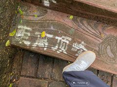 -海南白石岭旅游区