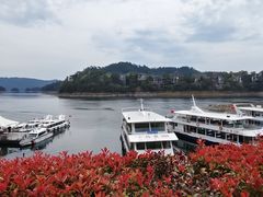 -千岛湖东南湖区