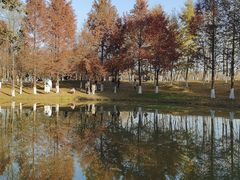 -西安浐灞国家湿地公园