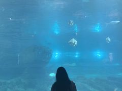 -福州罗源湾海洋世界旅游区