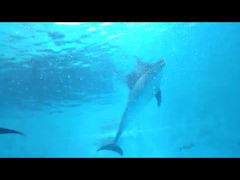 -波塞冬旅游度假区