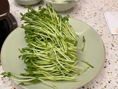 -椰子营·椰子鸡火锅(万象里店)