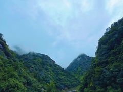 -王顺山国家森林公园