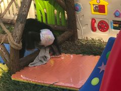 -石家庄市动物园