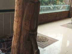-呀路古热带植物园
