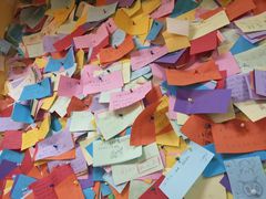 -志龙皇冠吃货椰子铺