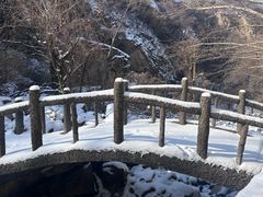 -秦岭终南山世界地质公园翠华山景区