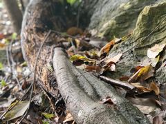 -杭州西湖风景名胜区-三生石
