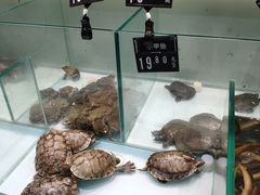 -桂林国贸益华城