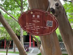 -碑林公园