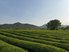-雅达·阳羡溪山小镇中心