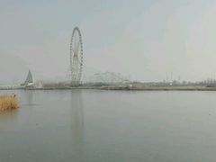 -阅海欢乐岛
