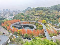 -福道