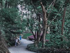 -南岗山公园