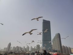 -星海广场