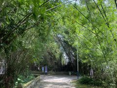 -开平碉楼文化旅游区马降龙景区