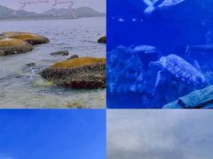 -巽寮印象美食部落餐厅·海鲜·地方特色菜(惠州体验店)