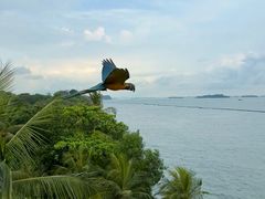 -巴拉湾海滩
