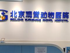 -北京观赏动物医院·24小时大型综合·猫专科·异宠专科
