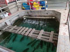 -绿雅居原生态农庄(小涌店)