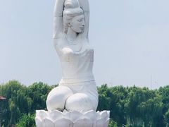 -荷塘月色湿地公园·向阳花洲