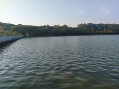 -南国桃园旅游度假区