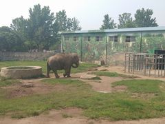 -西安秦岭野生动物园