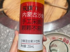 -二胖家铁锅炖大鹅(双井店)