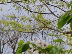 -眉山湿地公园(东坡区)