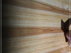 -光明刘冰乳鸽店(光明法政北路店)