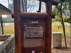 -华侨城湿地公园