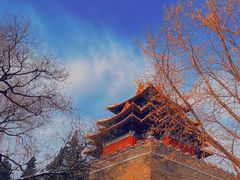 -故宫博物院(故宫)