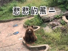 -无锡动物园·太湖欢乐园