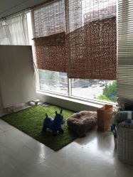 -苹果树儿童摄影工作室