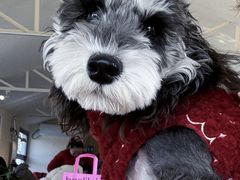 -小意思咖啡店(草桥店)