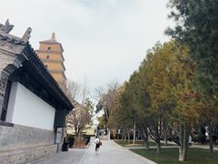 -大慈恩寺(大雁塔)