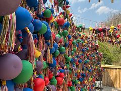 -西双版纳原始森林公园