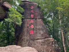 -汤旺河林海奇石景区