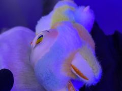 -关你鬼室大型密室逃脱(佛山创意园店)