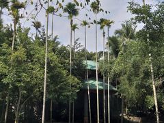 -海南槟榔谷黎苗文化旅游区