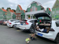-南沙蒲洲花园