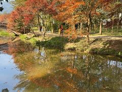 -田野绿世界