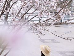 -月湖风景区