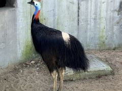 -西霞口神雕山野生动物世界