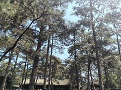 -承德避暑山庄景区