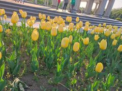 -长春公园(普阳街道)