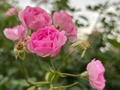 -UNI UNI(环亚凯瑟琳店)