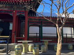 -宫事颐庭·老佛爷贵寿下午茶(颐和园店)